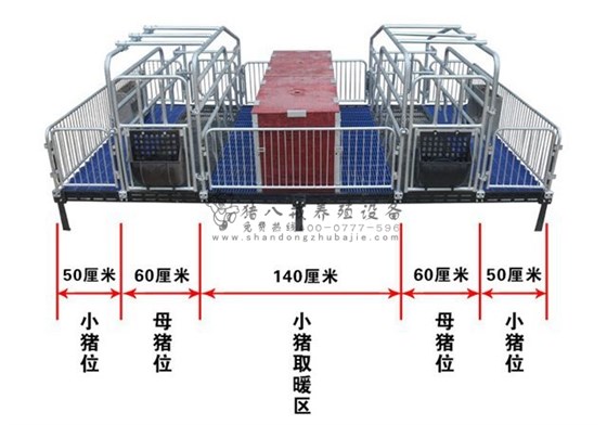 母豬產(chǎn)床圖片
