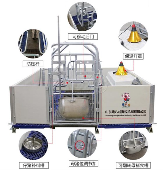 歐式母豬產(chǎn)床
