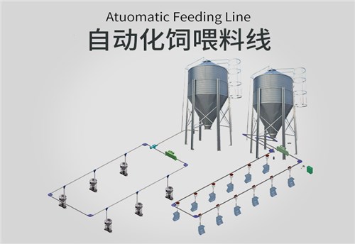 豬場自動飼喂料線