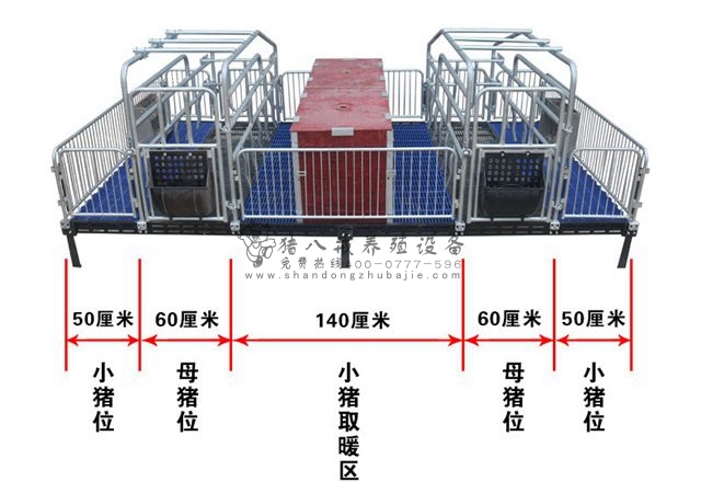 母豬產(chǎn)床圖片