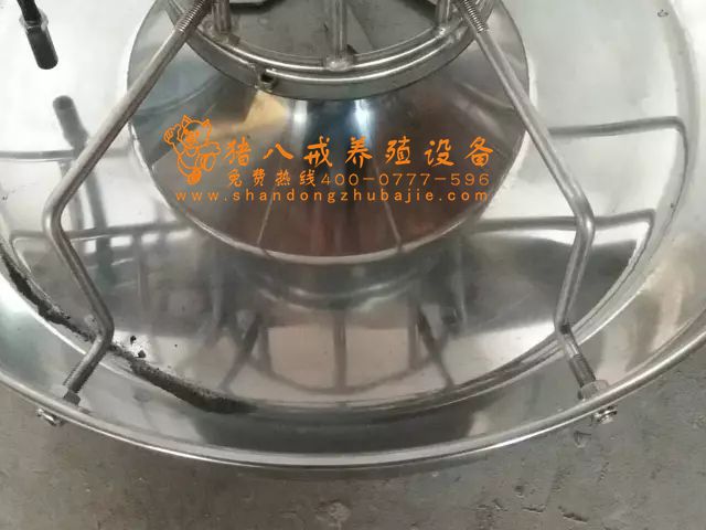 智能粥料器,粥料器,豬八戒養(yǎng)殖設備