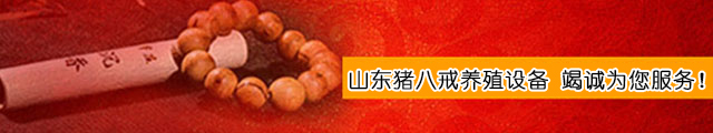 陜西母豬產(chǎn)床,母豬產(chǎn)床廠家,山東豬八戒養(yǎng)殖設備