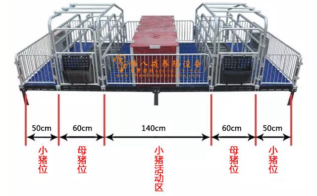 山東豬八戒養(yǎng)殖設(shè)備,豬八戒養(yǎng)殖設(shè)備