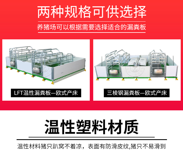 歐式母豬產(chǎn)床